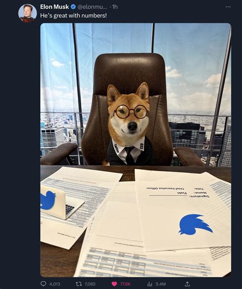 It’s official DOGE is new the CEO of Twitter!!! 🙌🏻💎🐕🐦 : r/dogecoin