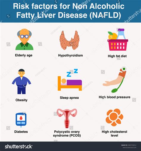 Alcoholic Fatty Liver Symptoms