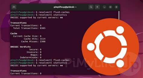 Image result for Cache Server Ubuntu