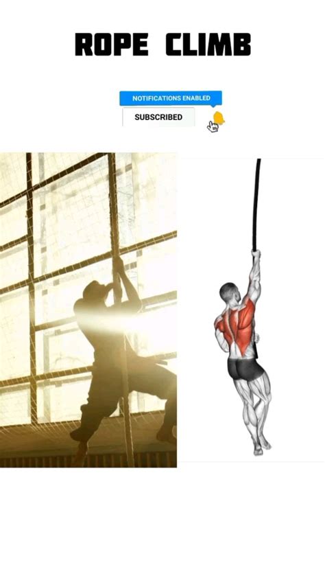 Image result for Rope Climb Tutorial