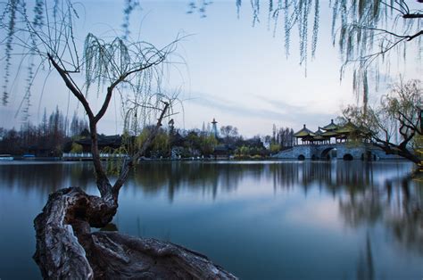 2021扬州世界园艺博览会“国际展园”奠基开工|扬州_新浪科技_新浪网
