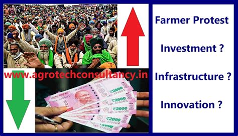 AGRICULTURE CONSULTANCY