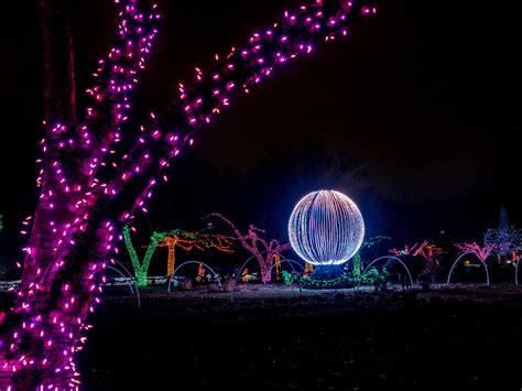 Wild Lights at Detroit Zoo 2019 — MichiganWOW