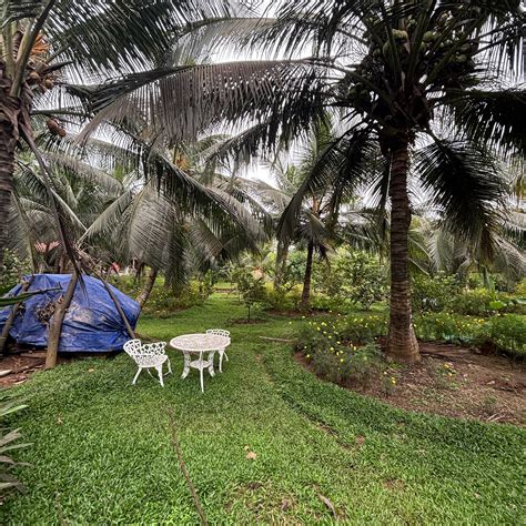 THANIMA FARM LIFE (Nallepilly) - Farmhouse Reviews & Photos - Tripadvisor