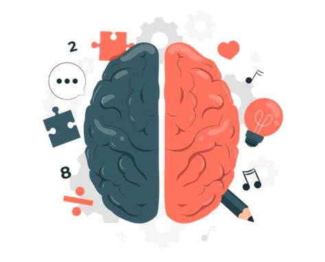 Image result for Tutor2u Memory