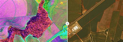 Multispectral Imaging Tutorial 的图像结果