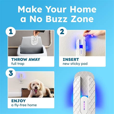 BugMD No Buzz Zone - Flying Insect Trap Catcher India | Ubuy