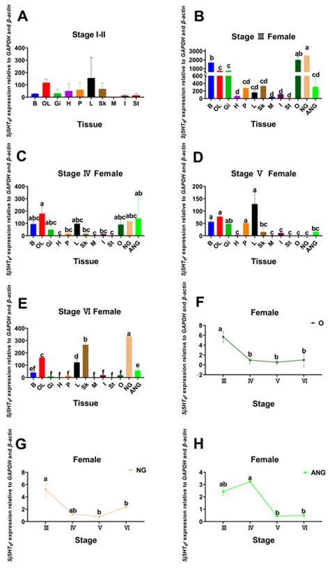 Identification, Localization, and Expression Analysis of 5-HT6 Receptor ...