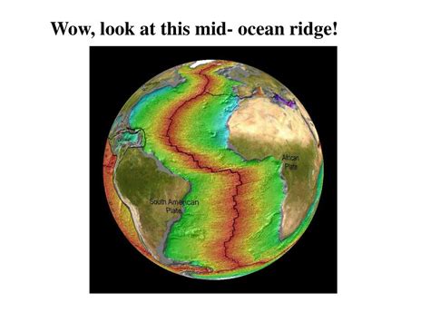 Sea Floor 的图像结果