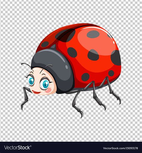Image result for Ladybug No Background