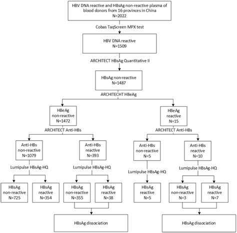 Frontiers | Circulating immune complexes and mutations of HBsAg are ...