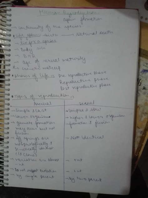 Human Reproduction: Formation, Phases, and Types of Reproduction - Studocu