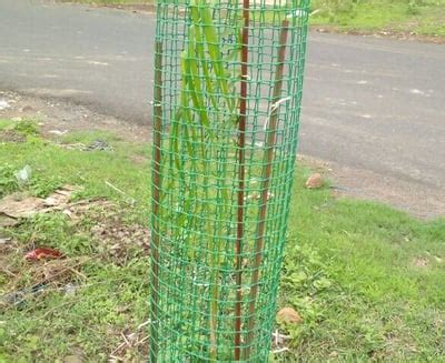 Econet: Pioneers in Eco-Friendly Tree Guards India | Econet