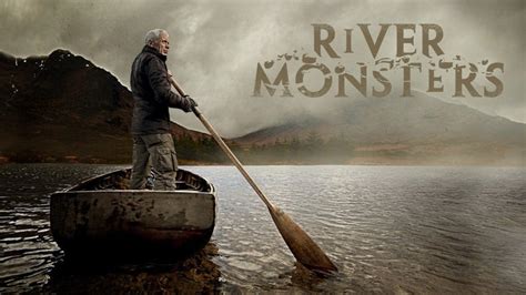 Watch Epic Animal Encounters Live : Streaming on Animal Planet Hindi on ...