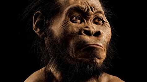 How Humans Reproduce Real 的图像结果