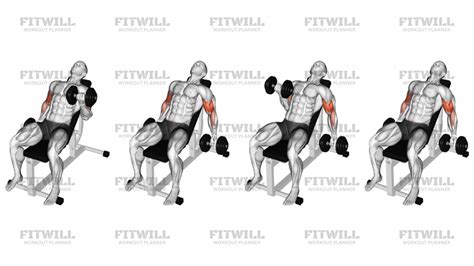 Dumbbell Incline Alternate Bicep Curl: Exercise Guide, Video ...