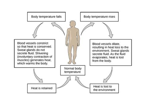 Temperature Range 的图像结果