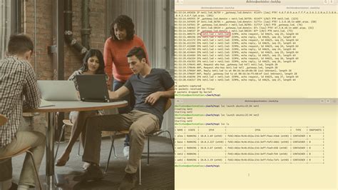 Packet Analysis Tutorial 的图像结果