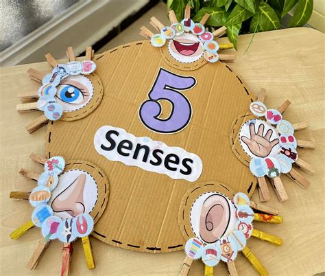 5 Senses Sorting Activity Game. TeachersMag.com