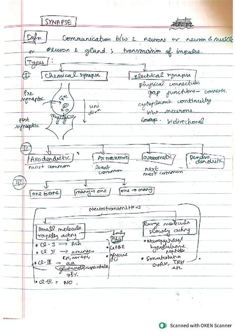 Physiology Notes: Synapse Definition, Types & Neurotransmitters - Studocu