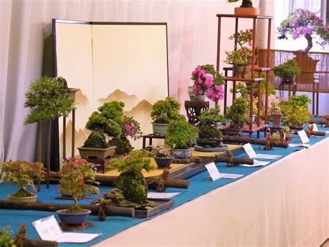 日本HITOHACHI盆栽商店-KAMITOPEN-商业展示空间设计案例-筑龙室内设计论坛
