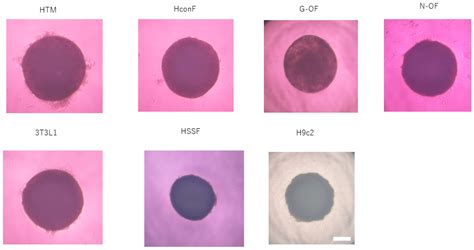 Application of Single Cell Type-Derived Spheroids Generated by Using a ...