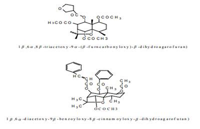 Kristu Jayanti College, Bengaluru