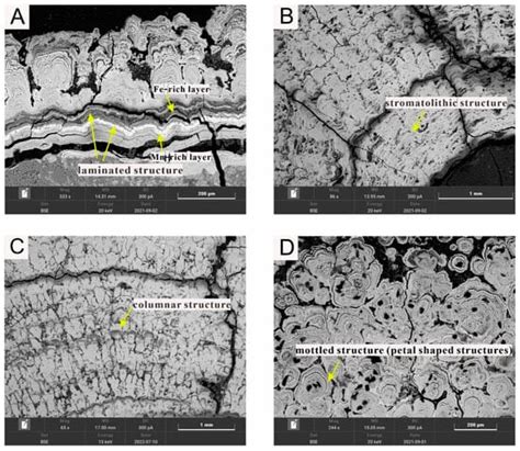 Nano-Mineralogy and Mineralization of the Polymetallic Nodules from the ...