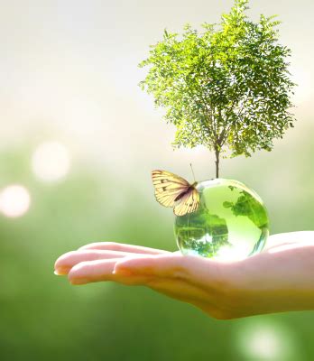 Global Excellence Group