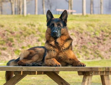 Image result for Learn Databse Course