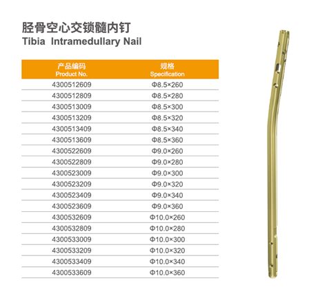 Intramedullary Nail Tibia 的图像结果