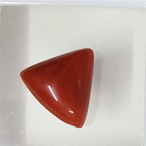 Triangular Red Coral – Gem Selections