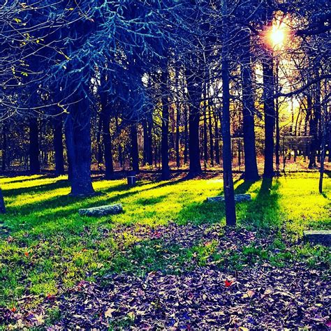 THE 10 BEST Places to Visit in Bareggio (2026) - Must-See Attractions