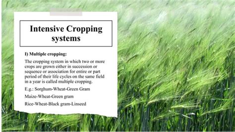 Image result for Cropping System Types