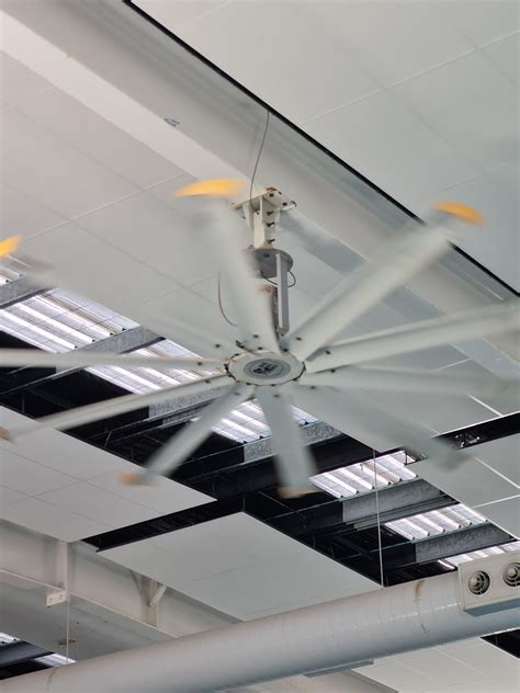 only big ass fans plz : r/OnlyFans