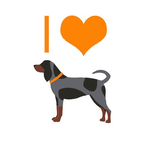 Volunteer Traditions – Lauren Harland