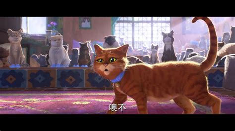 《穿靴子的貓2》全新中字預報 12月21日上映-飘花影院
