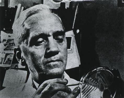 Sir Alexander Fleming Penicillin Discovery