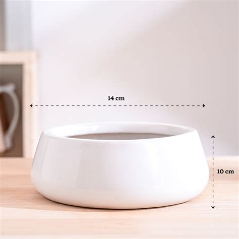 Tulip Fantasy Flat Ceramic Planter – Ugaoo