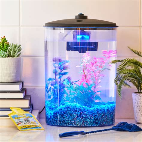 3 Gallon Fish Tanks