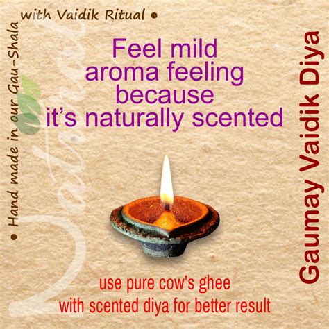 Natural Cow Dung Products