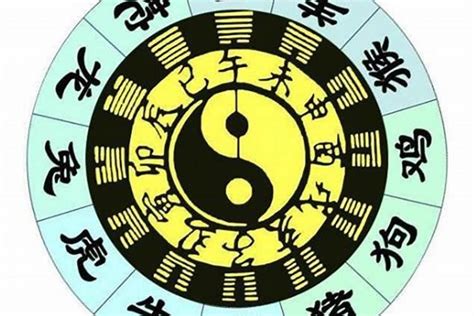 12生肖五行(pp代表什么意思)_财运_若朴堂文化