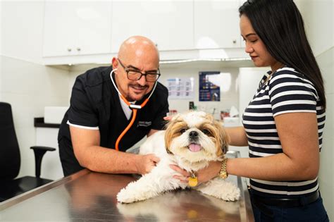Reverse Sneezing in Dogs: Causes, Symptoms, and Solutions