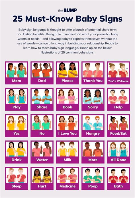 Basic Signs 的图像结果