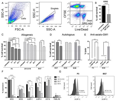 Pretreatment of Glioblastoma with Bortezomib Potentiates Natural Killer ...