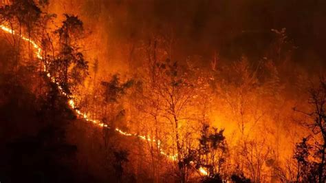 Uttarakhand Forest Fire: 47 New Fires Raze Uttarakhand Forest Lands ...