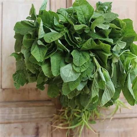 Buy Amaranthus Arai Keerai Green Seeds – Multi-Cut, Native Variety