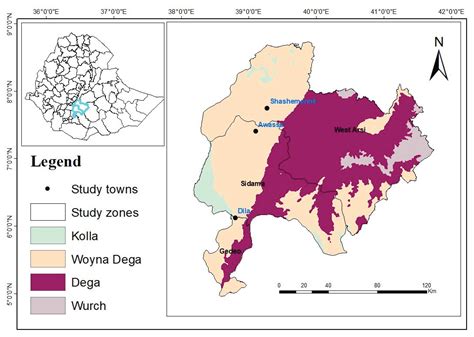 Haemoglobin Polymorphism in Different Blood Levels of Ethiopian Zebu x ...