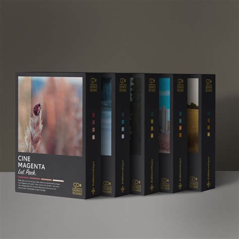 Cinematic Lut Pack - 5 Luts for Final Cut Pro X, Premiere Pro, LumaFusion