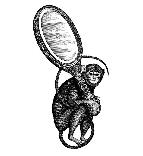 Scratchboard Animals Illustrated by Steven Noble on Behance